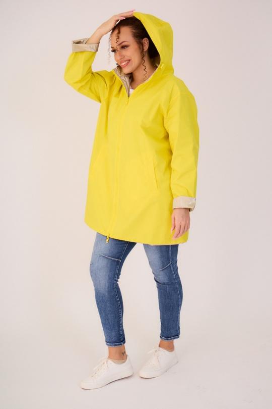 Vestes Femme Beige Escandelle 4117L Efashion Paris