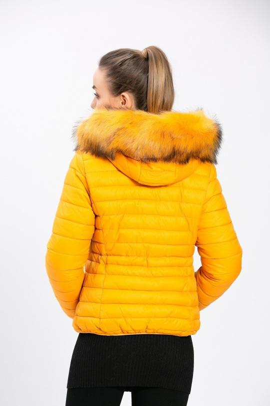 Doudounes Femme Moutarde CMP55 / DIX-ONZE A085MOUTARDE Efashion Paris