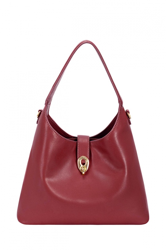 Borse a mano Borse Burgundy A&E CM7843 Efashion Paris