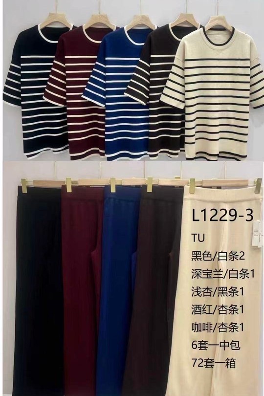 Ensembles Femme Couleurs mélangées HD DIFFUSION L1229-3 Efashion Paris