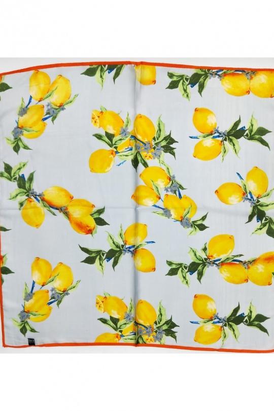 Foulards Accessoires Gris LX MODA 18100-CITRON Efashion Paris