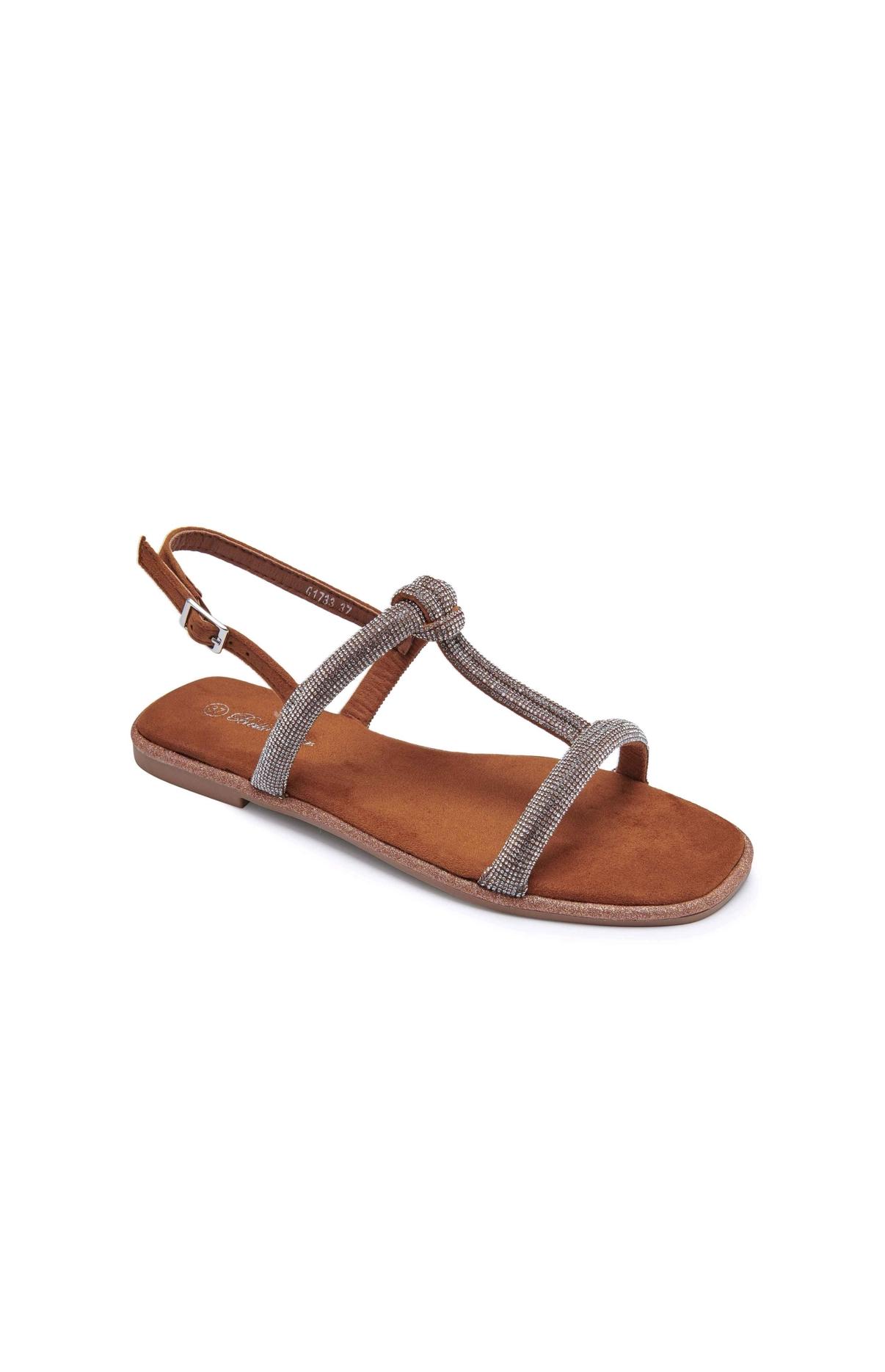 G1733-CAMEL