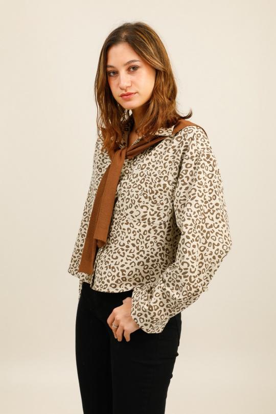 Chemises Femme Taupe LOVIKA 43350 Efashion Paris