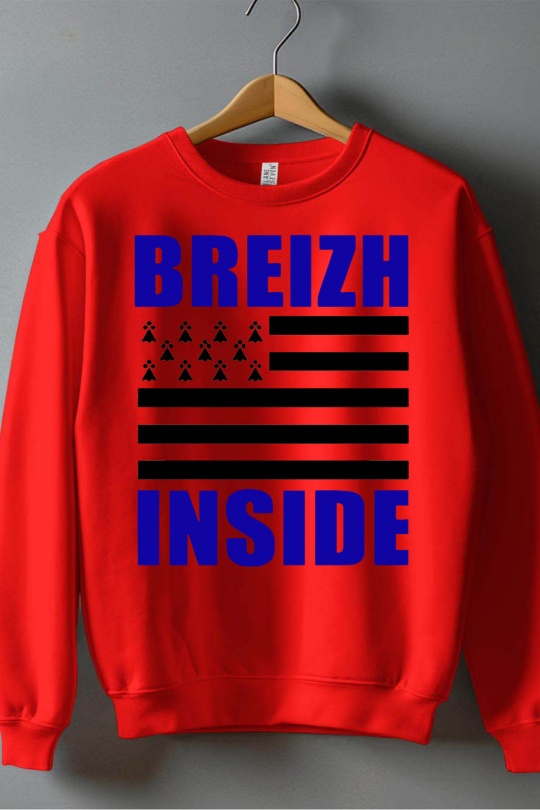 Hauts Enfant & Bébé  Rouge Impression A La Demande I.A.L.D BREIZH INSIDE - SWEAT COL ROND GARÇON Efashion Paris