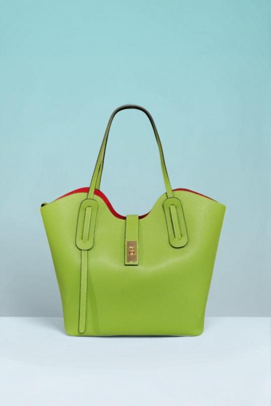 Sacs à main Maroquinerie Vert pomme Première Collection IT0481 Efashion Paris