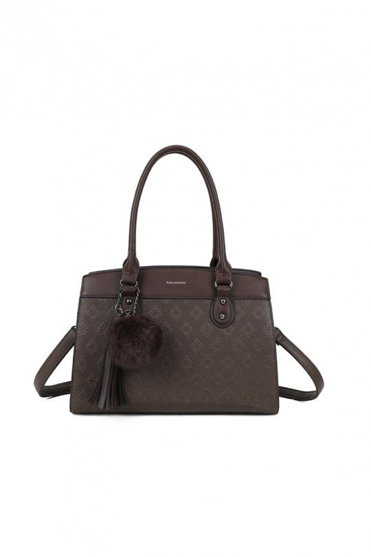 Sacs à main Maroquinerie Marron GALLANTRY - CHIC AMINI R-1501 Efashion Paris