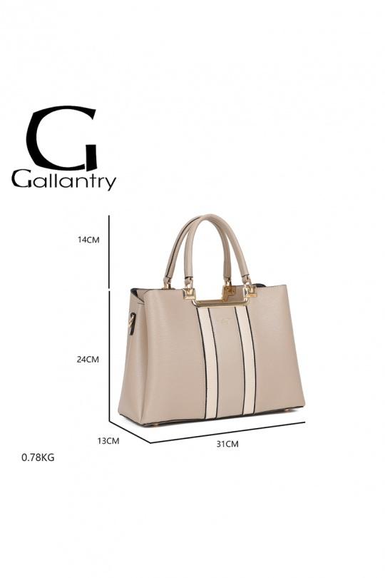 Sacs à main Maroquinerie Marron/Taupe GALLANTRY - CHIC AMINI DQ-8605-4 Efashion Paris