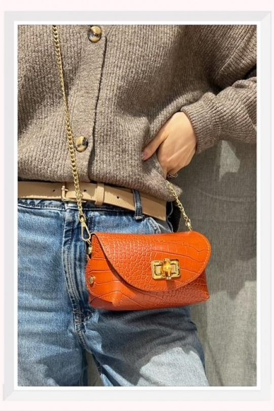 Shoulder bags Bags Rust Z ET Z I -Bag  C1006 Efashion Paris
