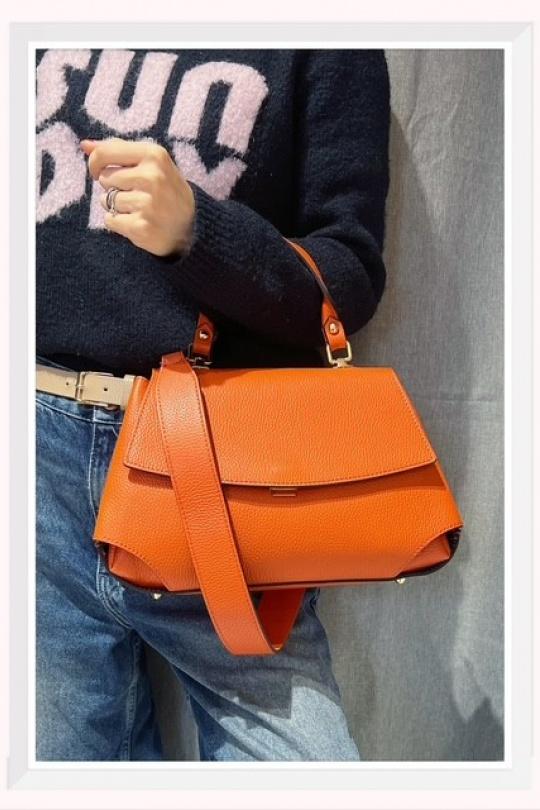 Sacs à main Maroquinerie Rouille Z ET Z I -Bag  C30975 Efashion Paris