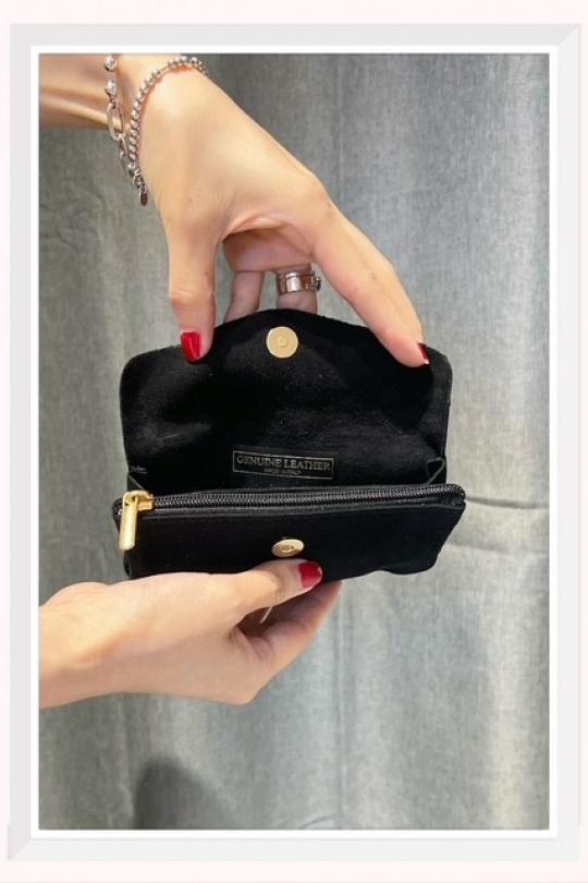 Petite maroquinerie Maroquinerie Camel Z ET Z I -Bag  C05033D Efashion Paris